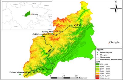 Assessing the effect of roads on mountain plant diversity beyond species richness